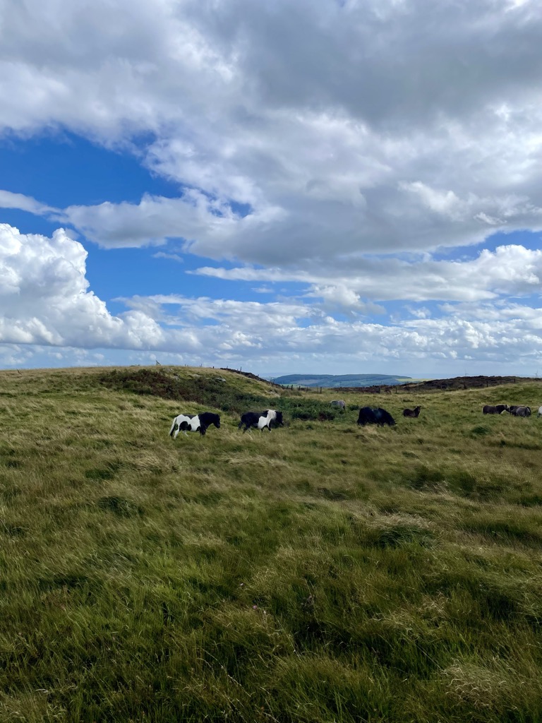 Photo №1 of Mynydd Dinas