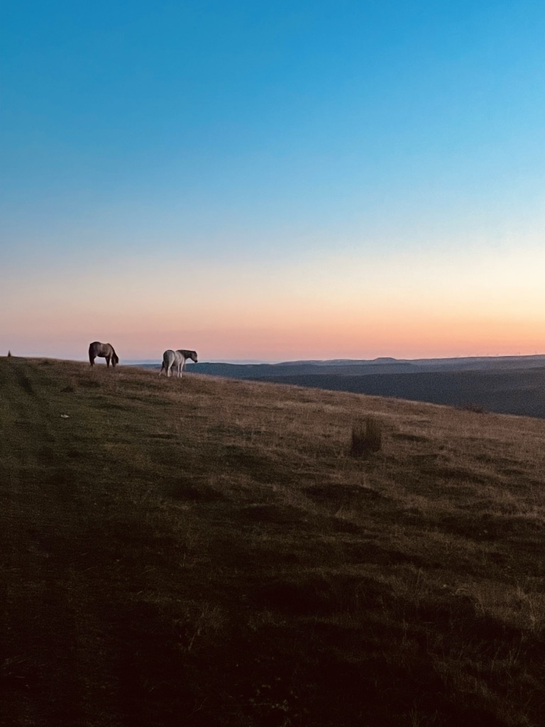 Photo №1 of Mynydd Fochriw