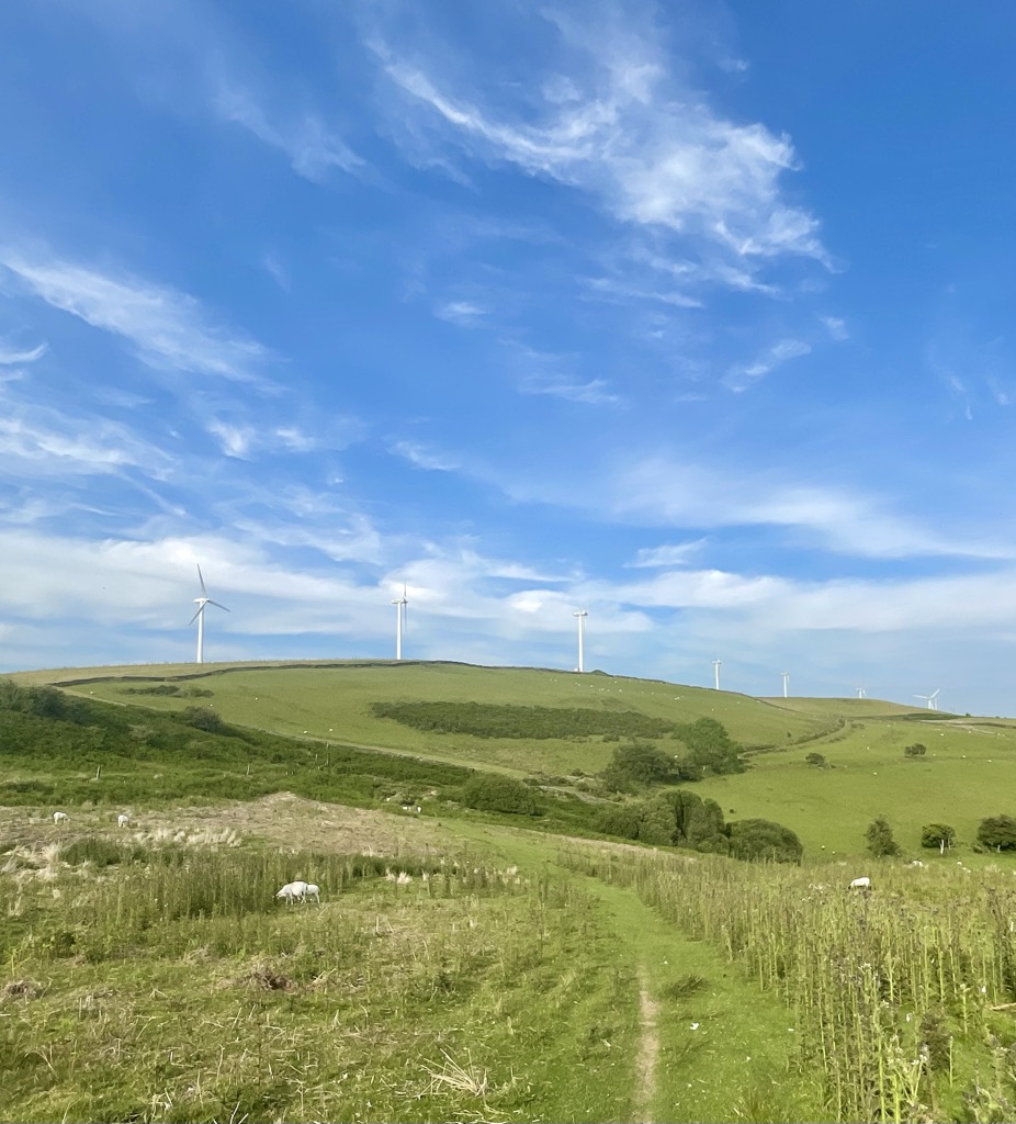 Photo №1 of Mynydd Maendy