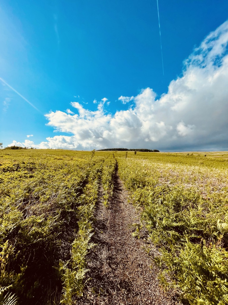 Photo №1 of Mynydd Merthyr - Mynydd Gethin