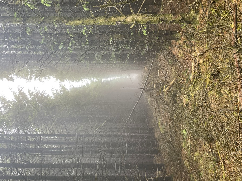 Photo №1 of Mynydd Ton