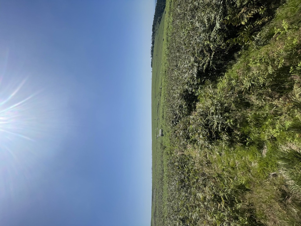 Photo №1 of Mynydd Y Lan