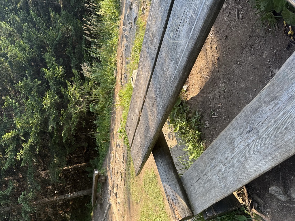 Photo №2 of Myślenickie Turnie