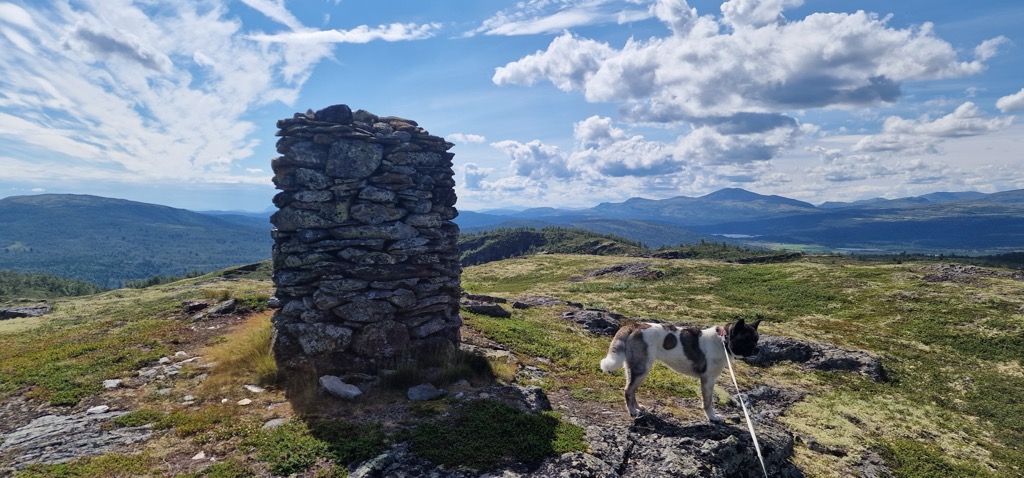 Photo №2 of Myssmørdalsfjellet