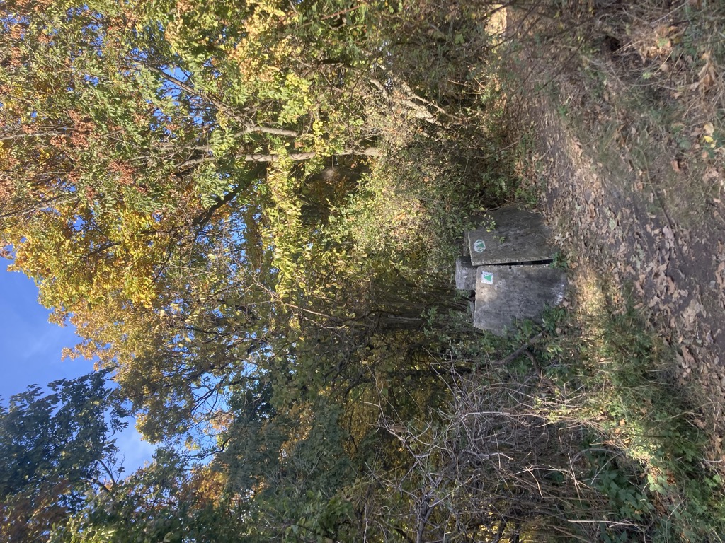 Photo №1 of Nagy-Csikóvár