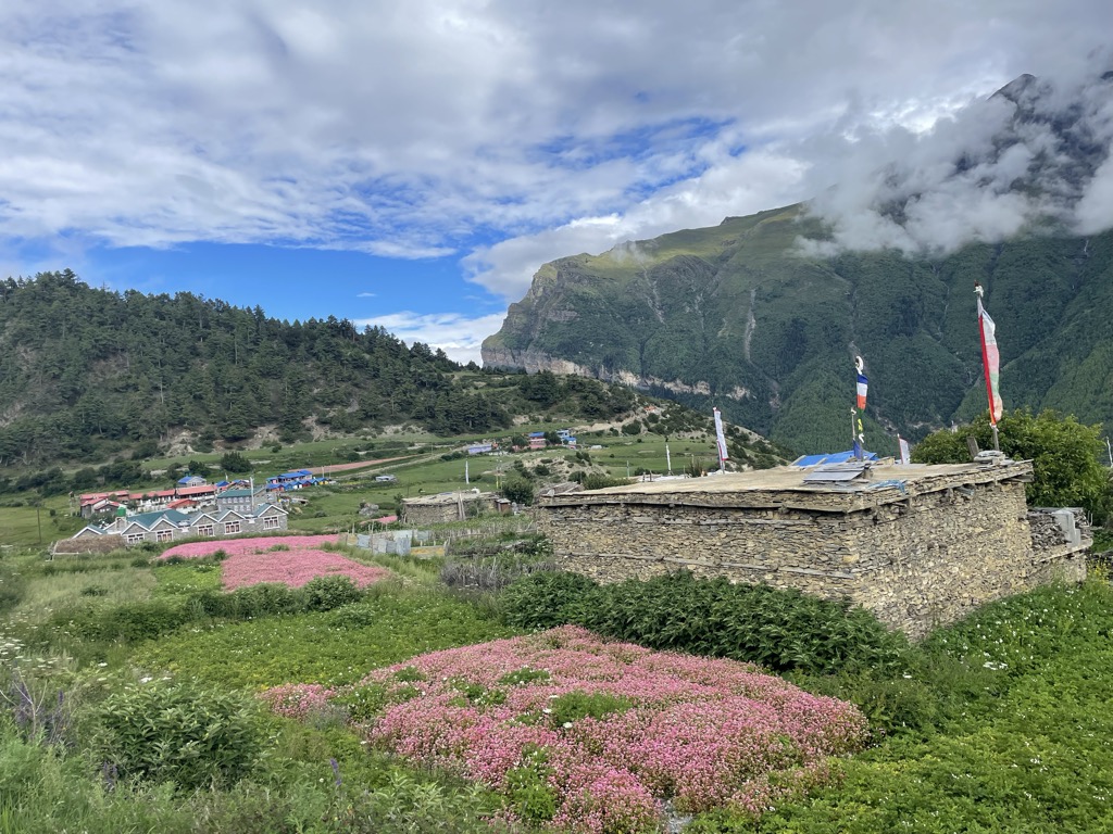 namgyal