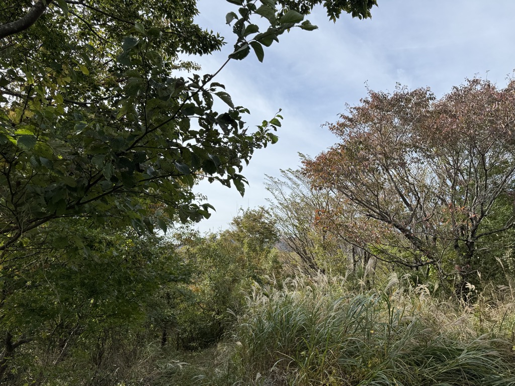 Photo №3 of Nangōyama
