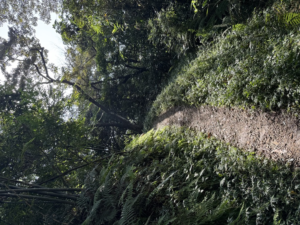 Photo №2 of Nankanshan