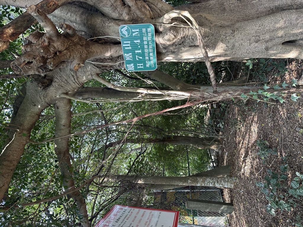 Photo №2 of Nanshangshulinshan