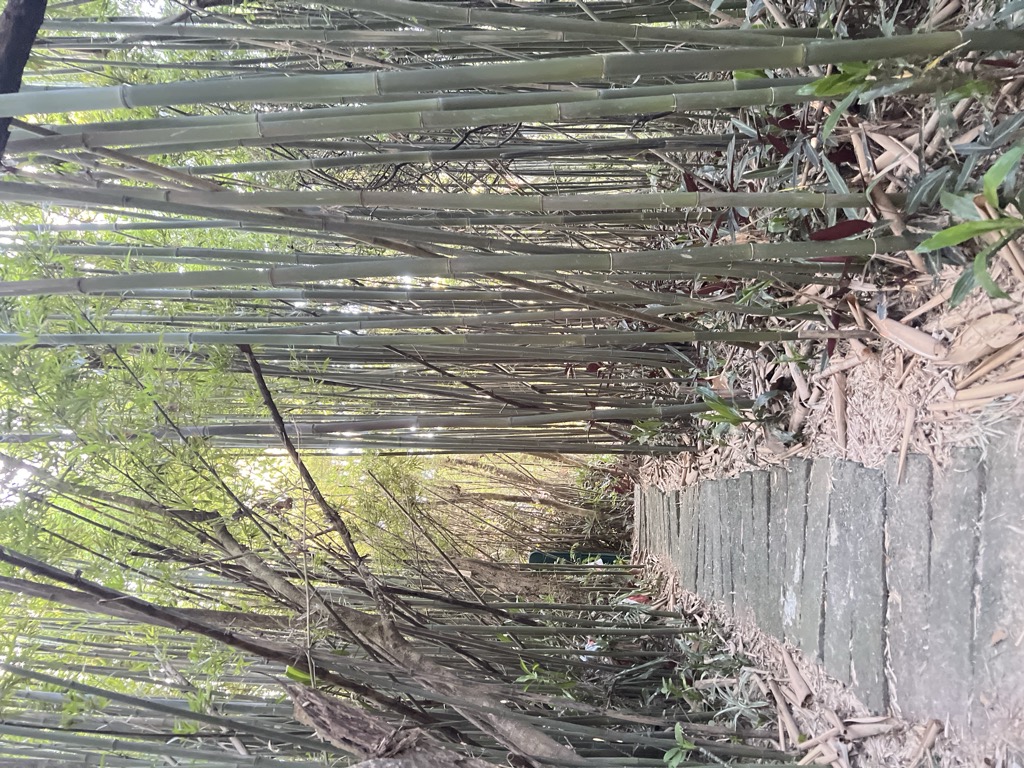Photo №2 of Nantianmushan
