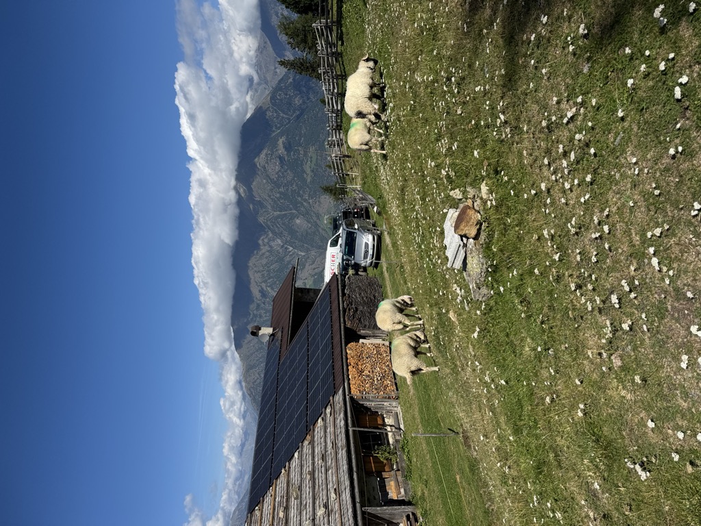 Naturnser Alm - Malga Naturno