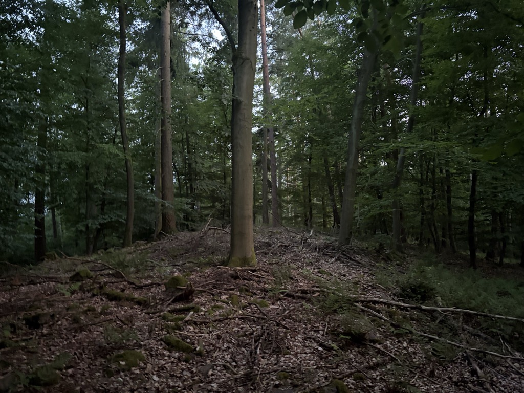 Photo №2 of Neckarriedkopf