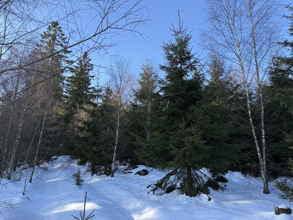 Photo №2 of Neujagen