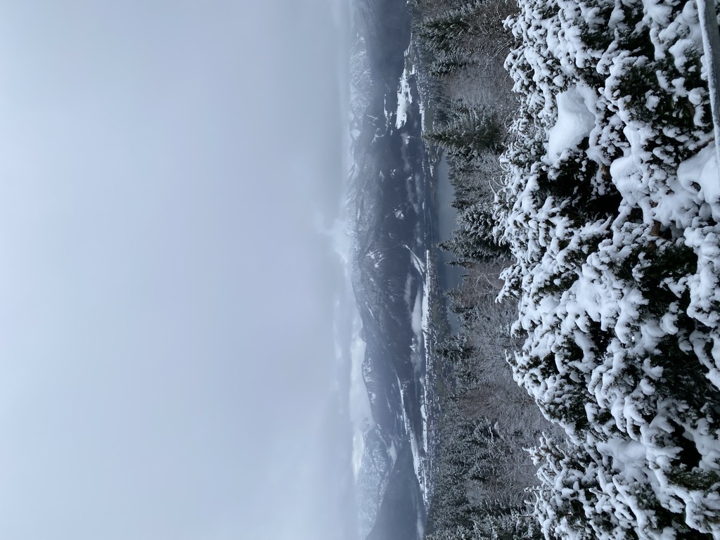 Photo №1 of Neureuth