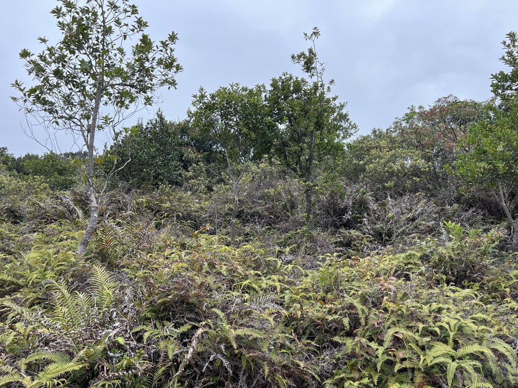 Photo №1 of Ngau Yee Shek Shan