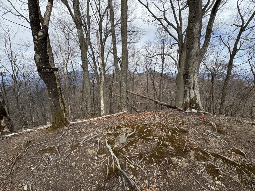 Photo №1 of Nitayama