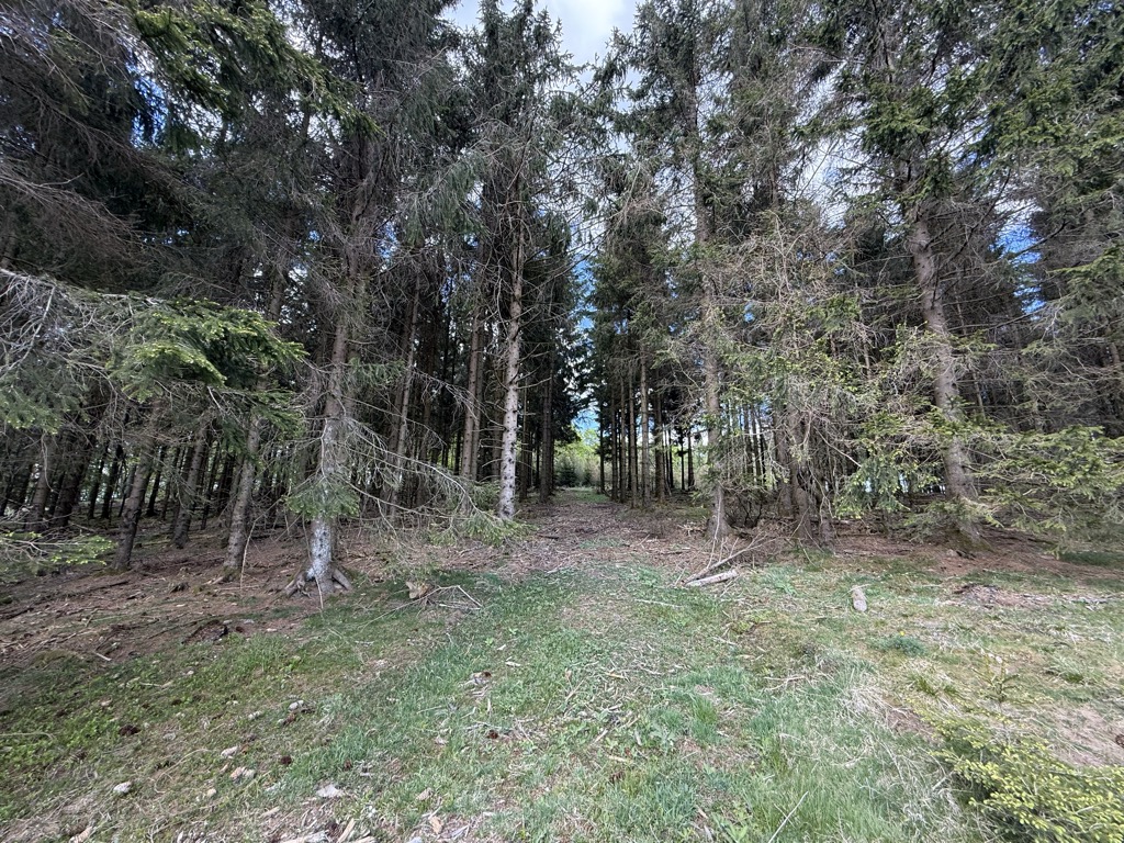 Photo №3 of Nordhelle