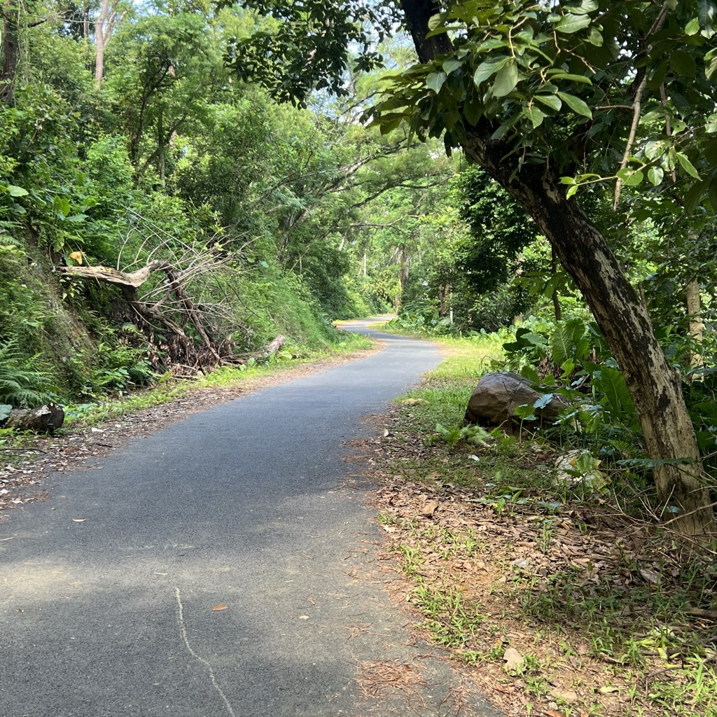 Photo №1 of Núi Luốt