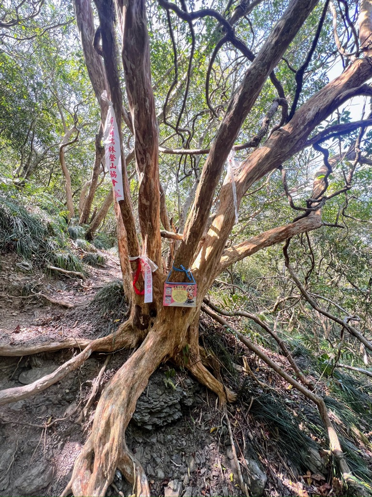 Photo №6 of Nurengshan