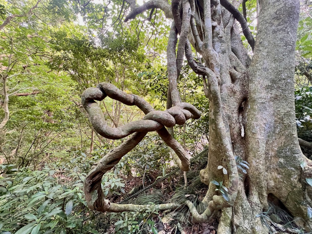 Photo №4 of Nurengshan