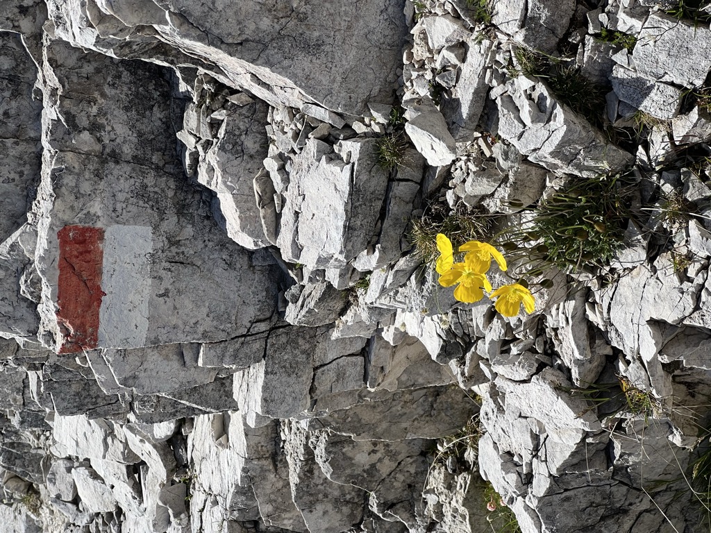 Photo №3 of Oberbachernjoch - Passo Fiscalino
