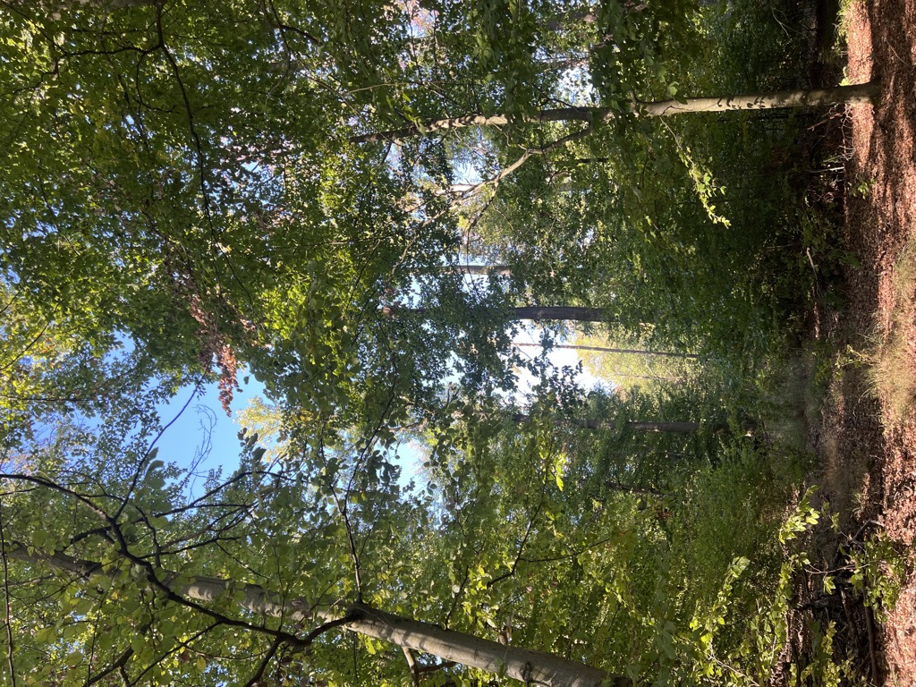 Photo №2 of Oberhöhe