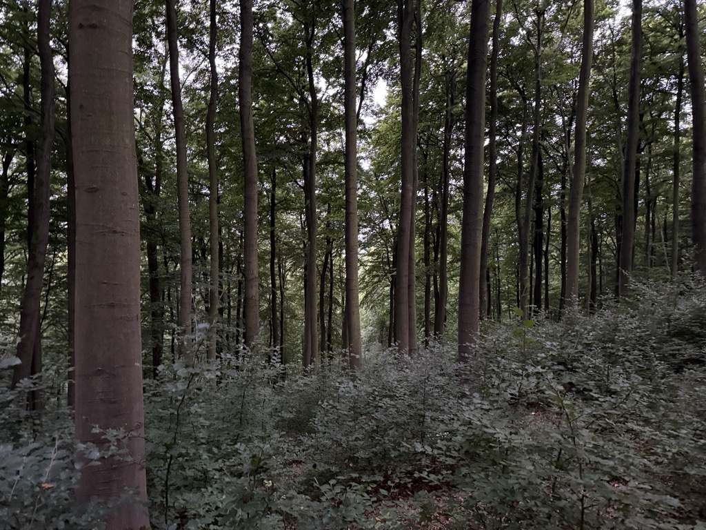 Photo №2 of Ochsenberg