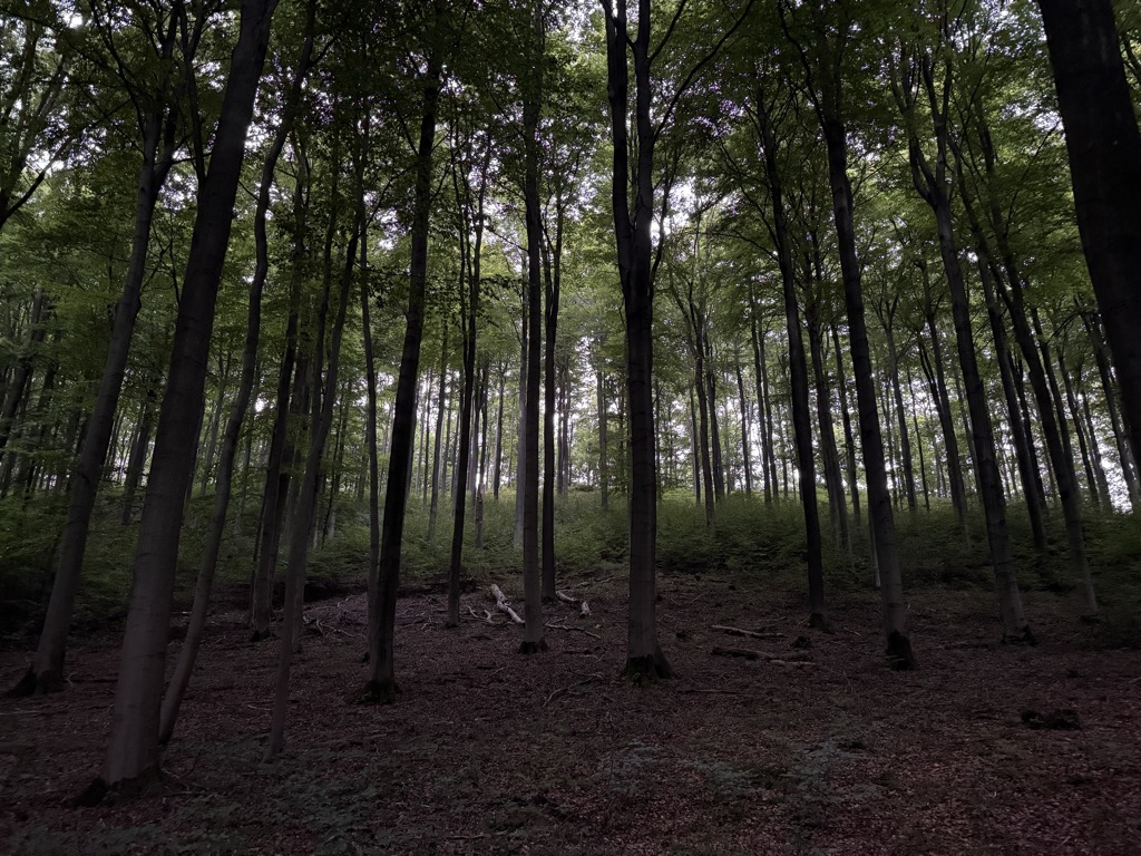 Photo №1 of Ochsenberg