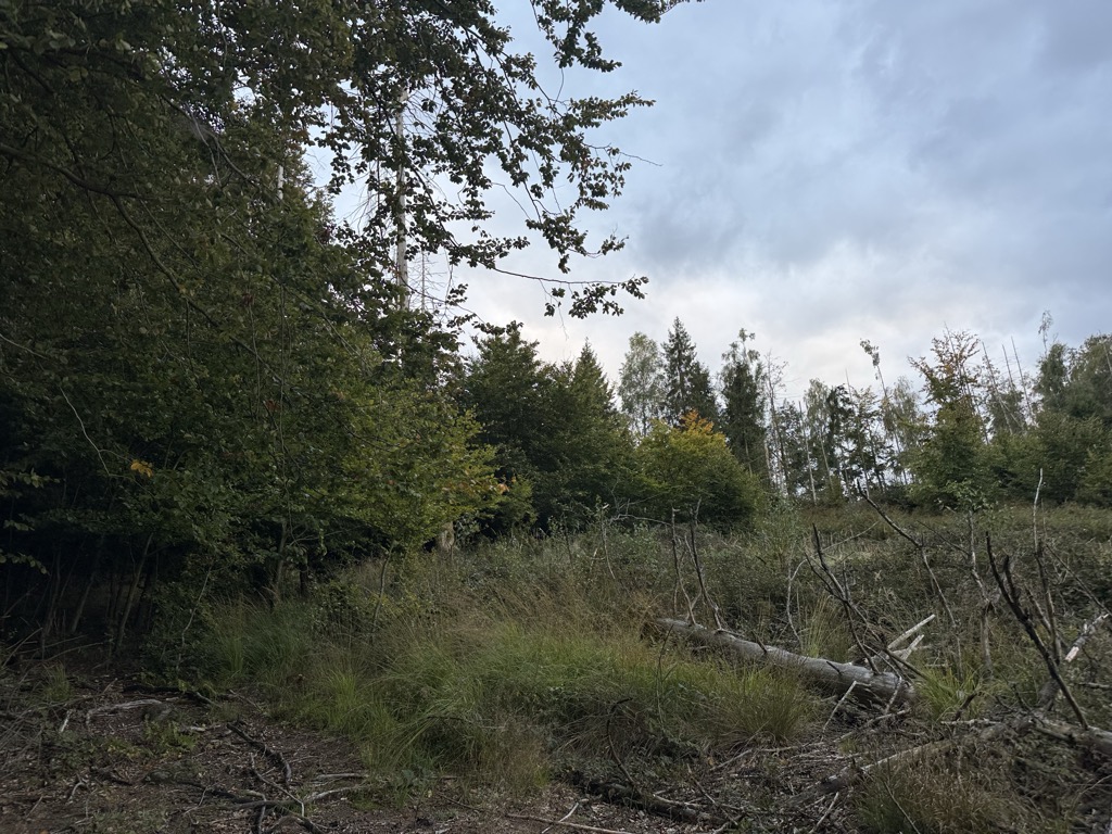 Photo №2 of Ochsenberg