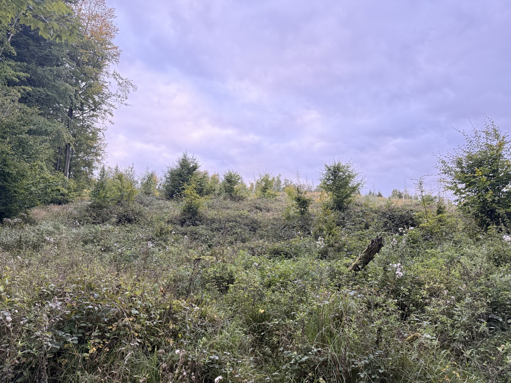 Photo №1 of Ochsenberg