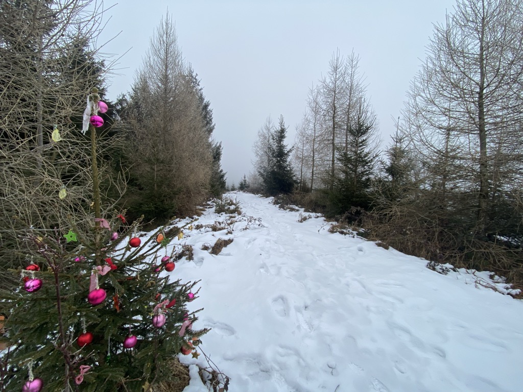 Photo №1 of Ochsenkapf