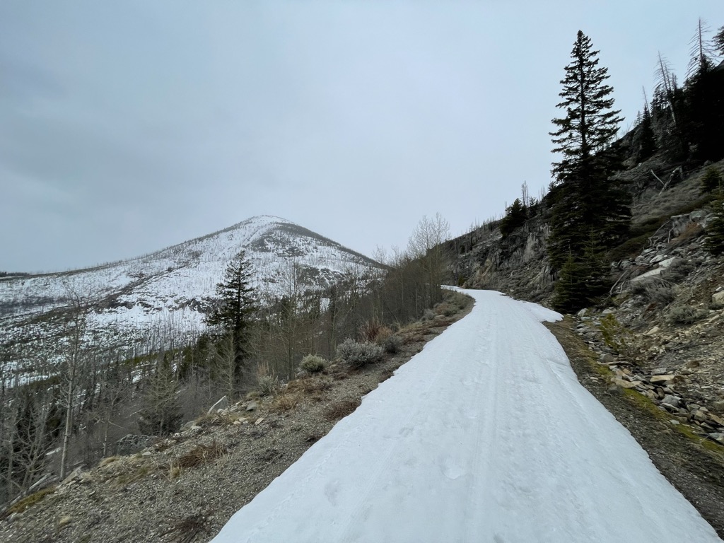 Photo №2 of Old Baldy