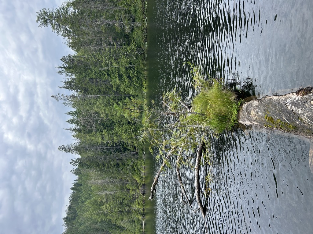 Photo №2 of Old Man Lake