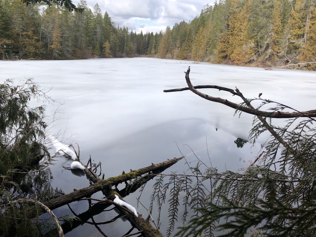 Photo №3 of Old Man Lake