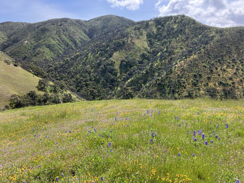 Photo №1 of Ollason Peak