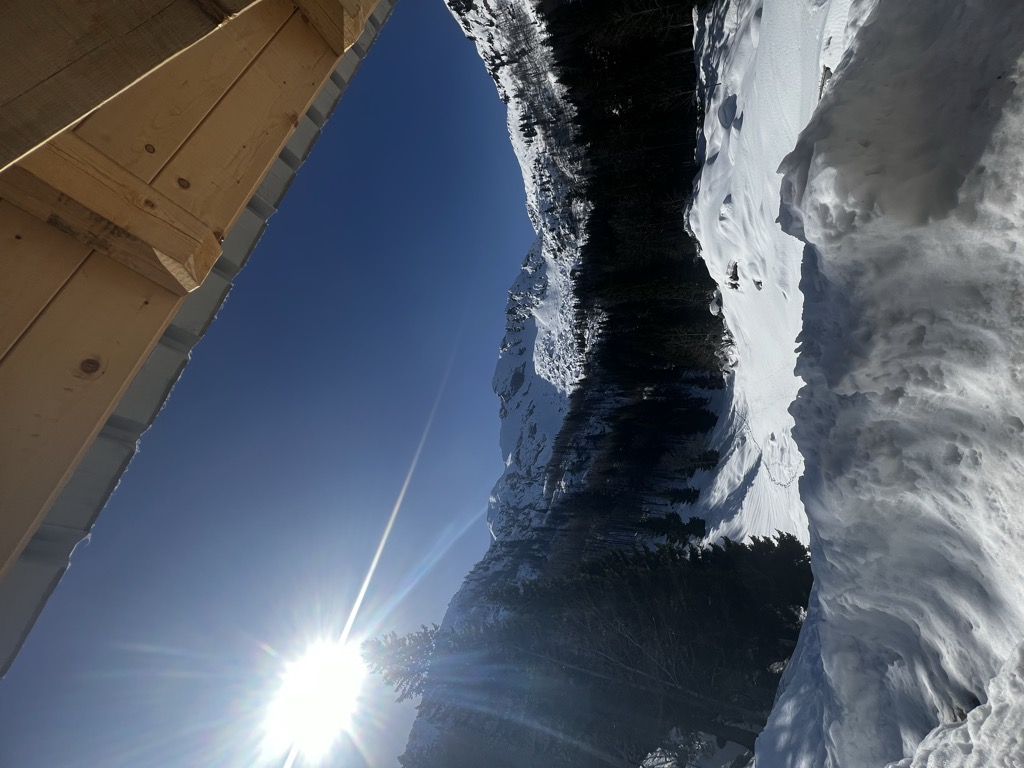 oroznova-koca-na-planini-za-liscem-3