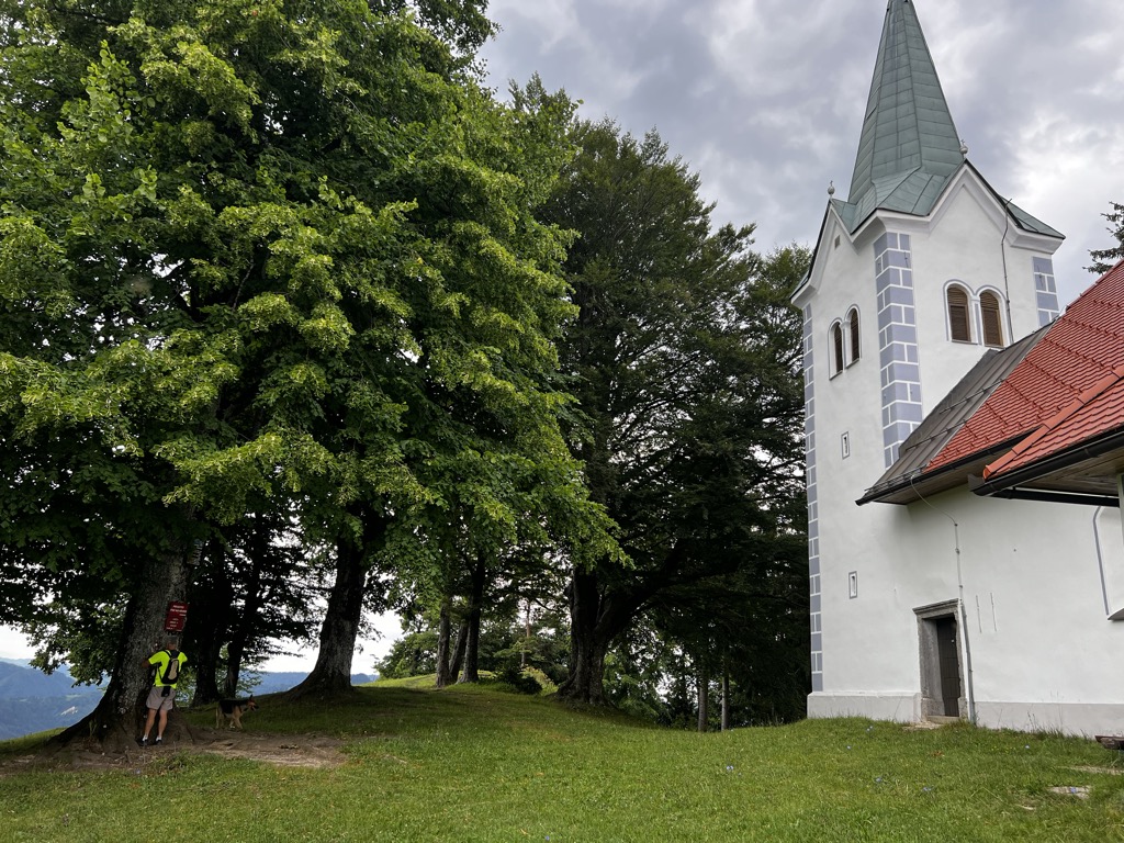 Photo №5 of Osolnik