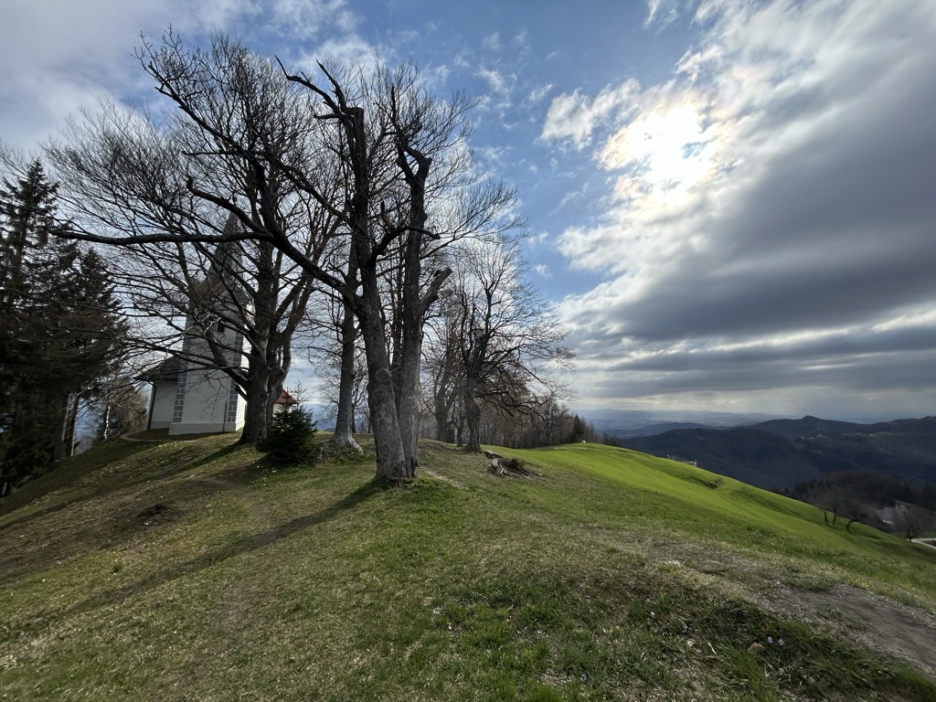 Photo №2 of Osolnik