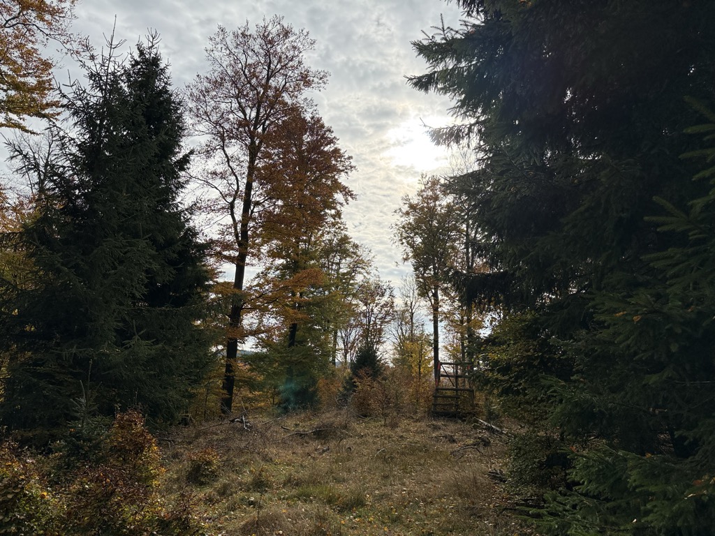 Photo №3 of Osterkopf