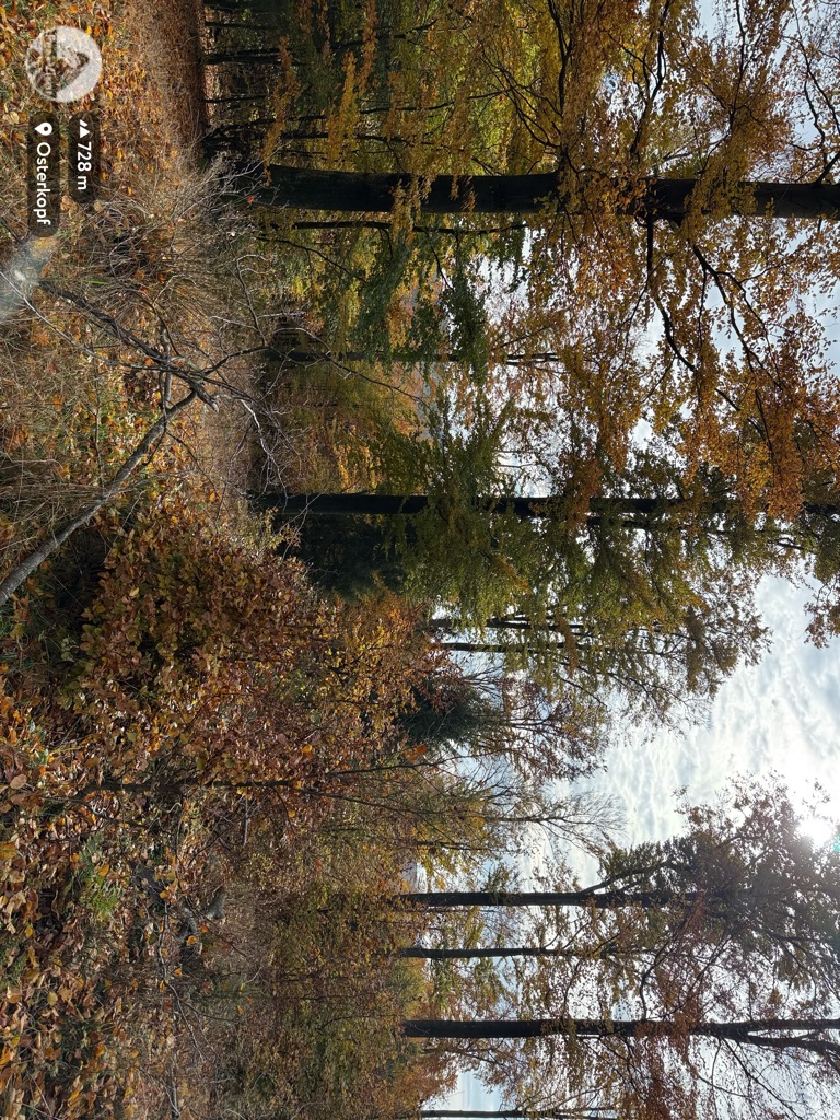 Photo №2 of Osterkopf