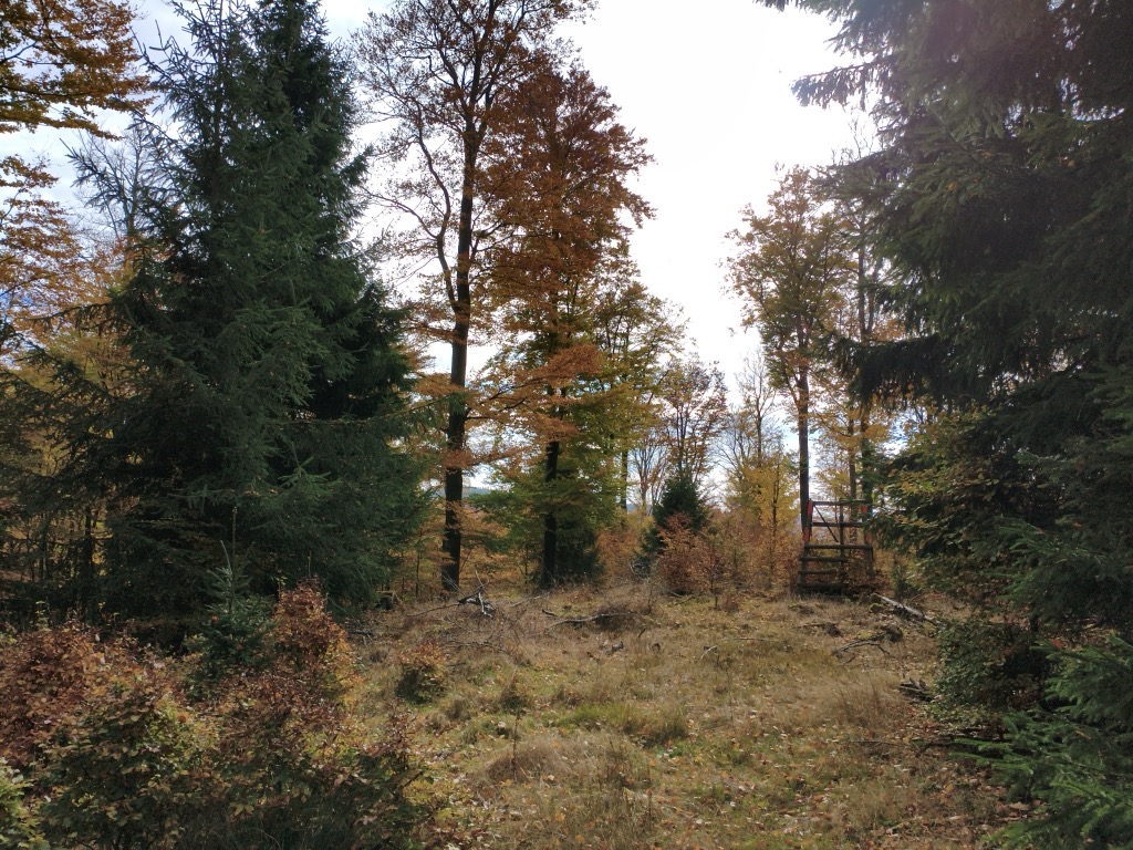 Photo №1 of Osterkopf