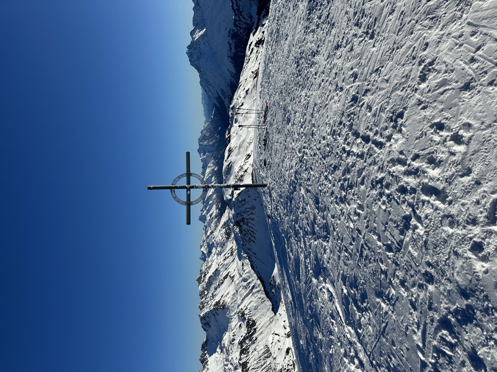 Photo №5 of Östlicher Maroikopf