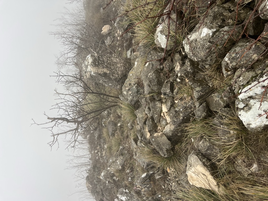 Photo №2 of Oštra glavica