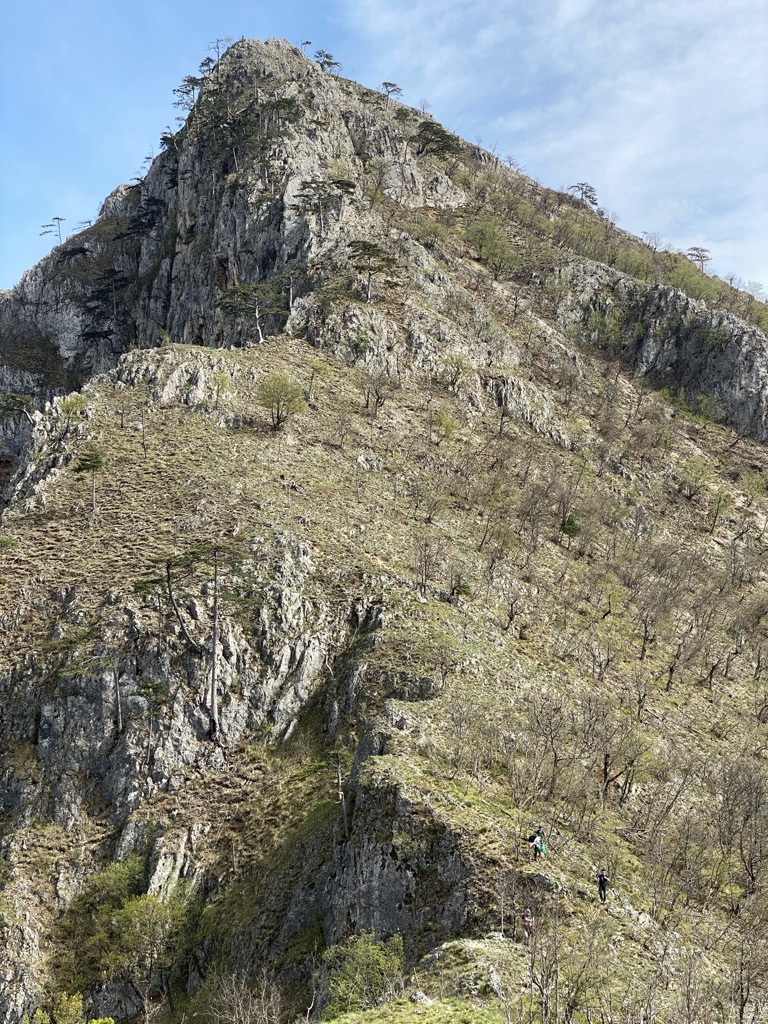 Photo №2 of Oštro