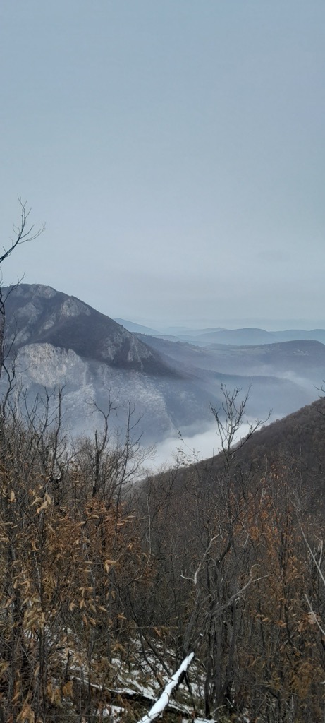 Photo №2 of Ovčar