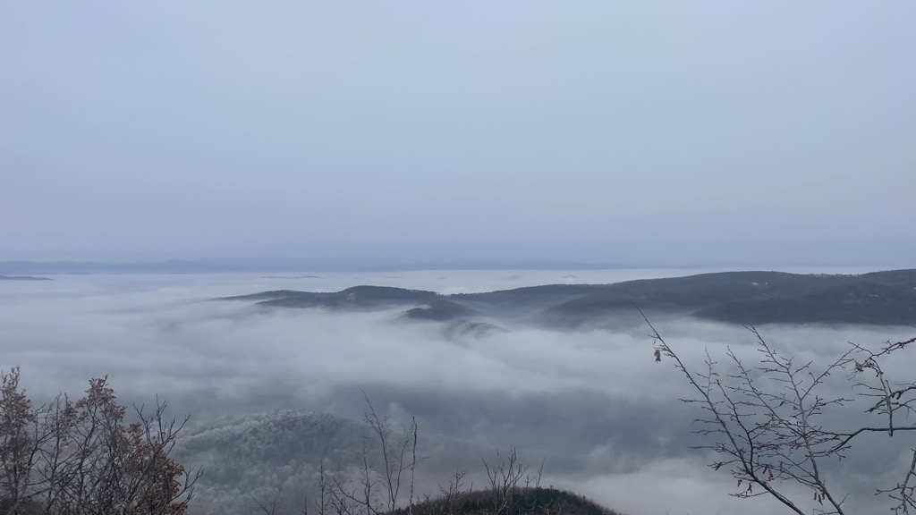 Photo №5 of Ovčar