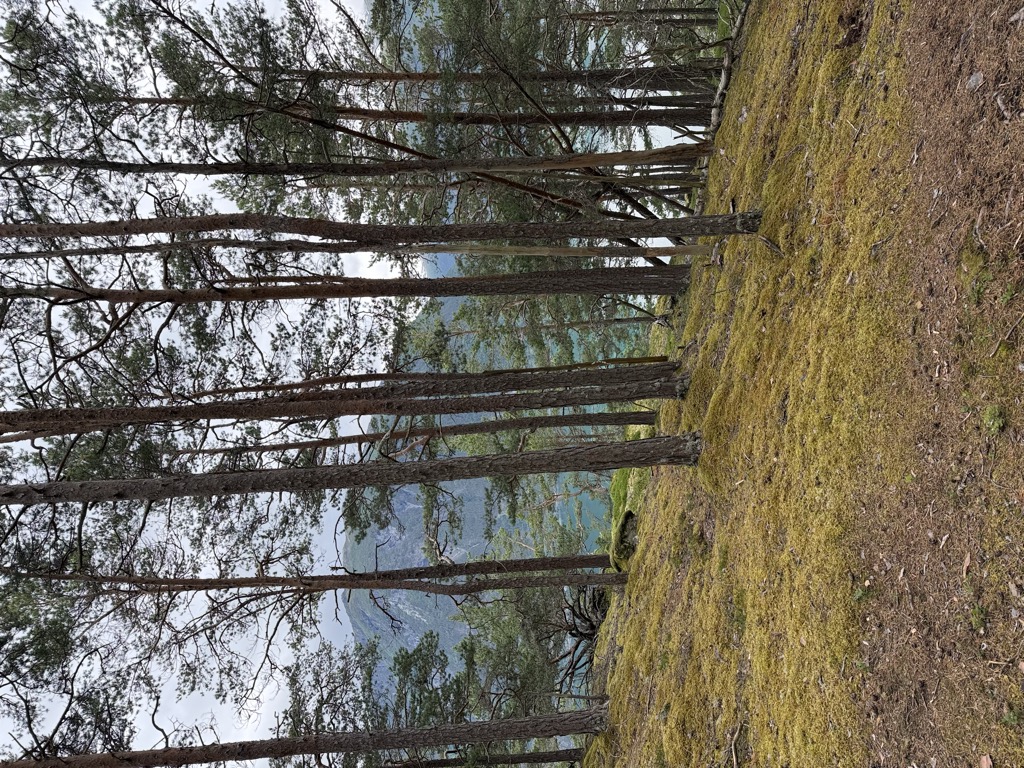 Photo №2 of Øvste Grisagarden