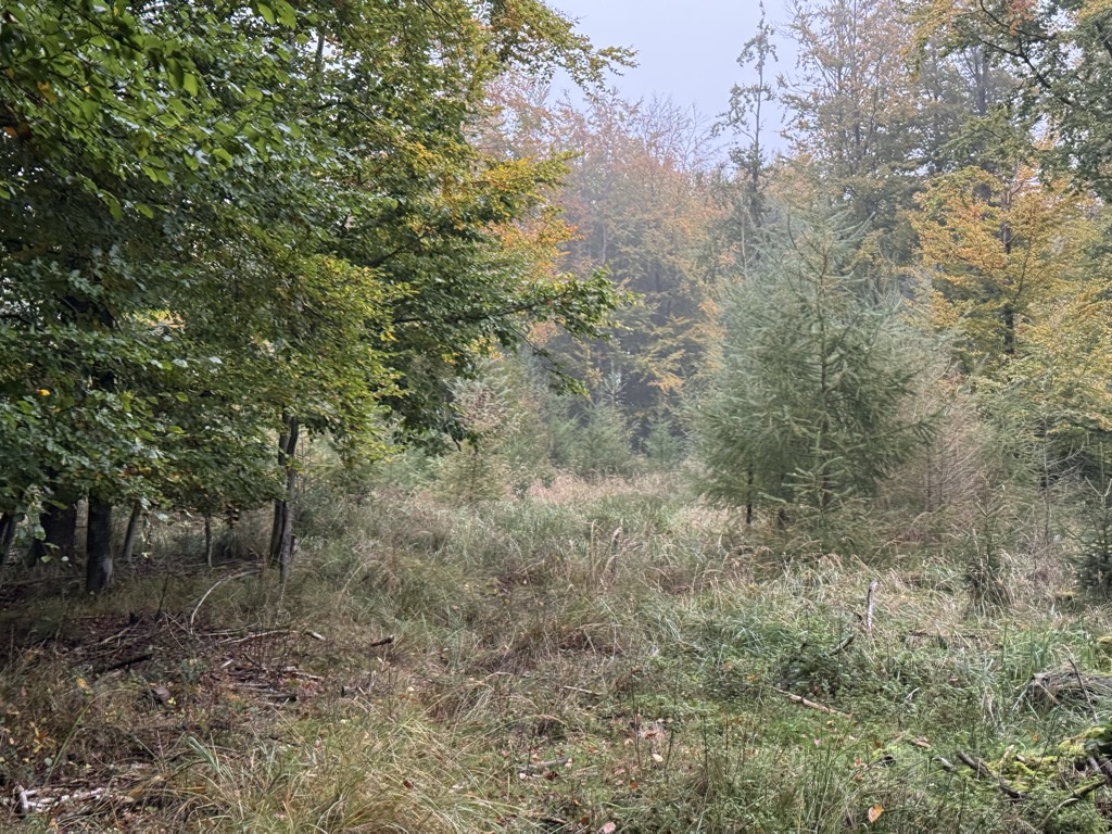 Photo №2 of Padberg