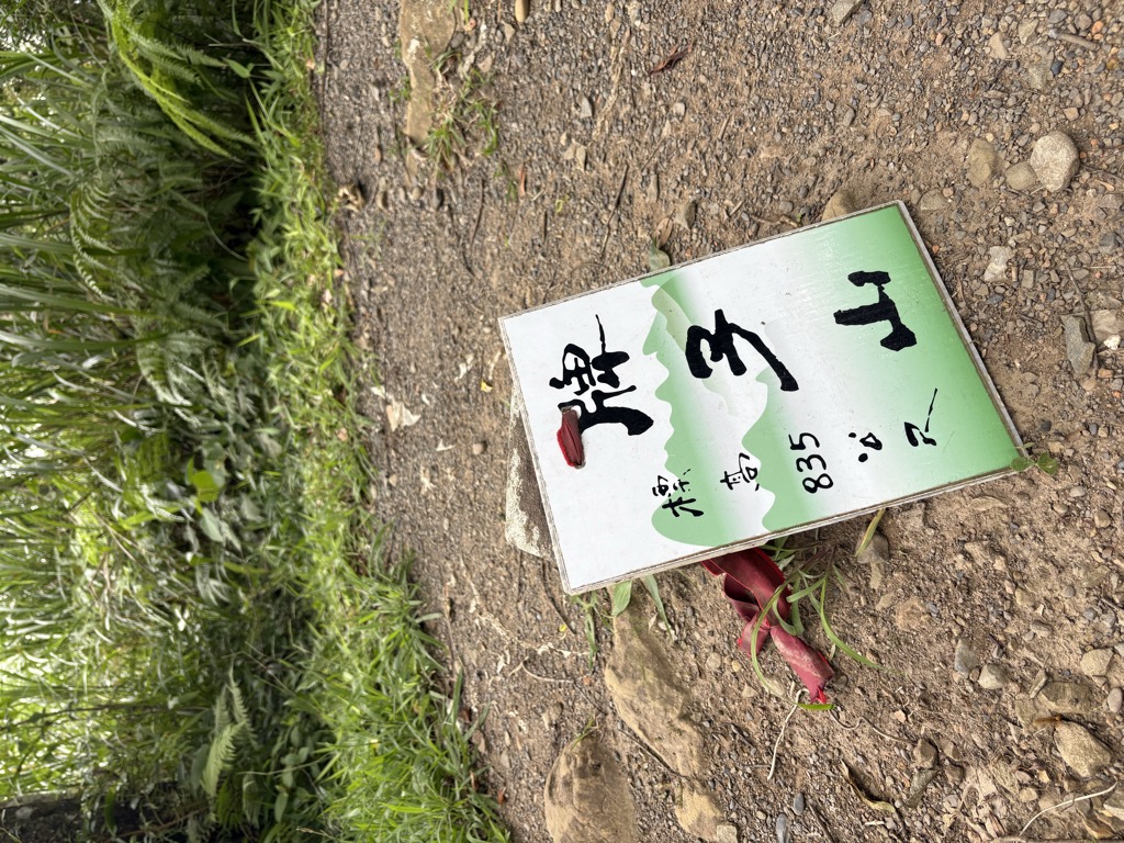 Photo №1 of Paizishan