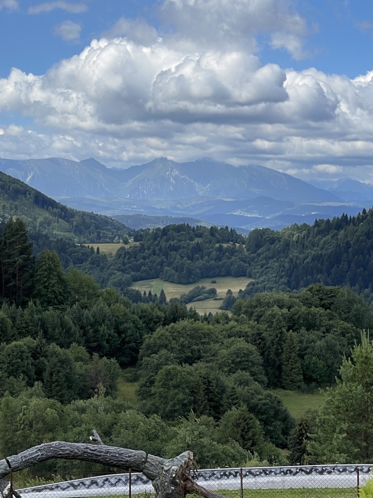 Photo №2 of Palenica